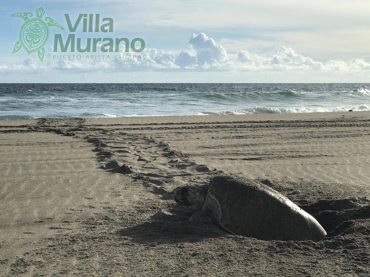 Hotel Villa Murano Puerto Arista Eksteriør bilde